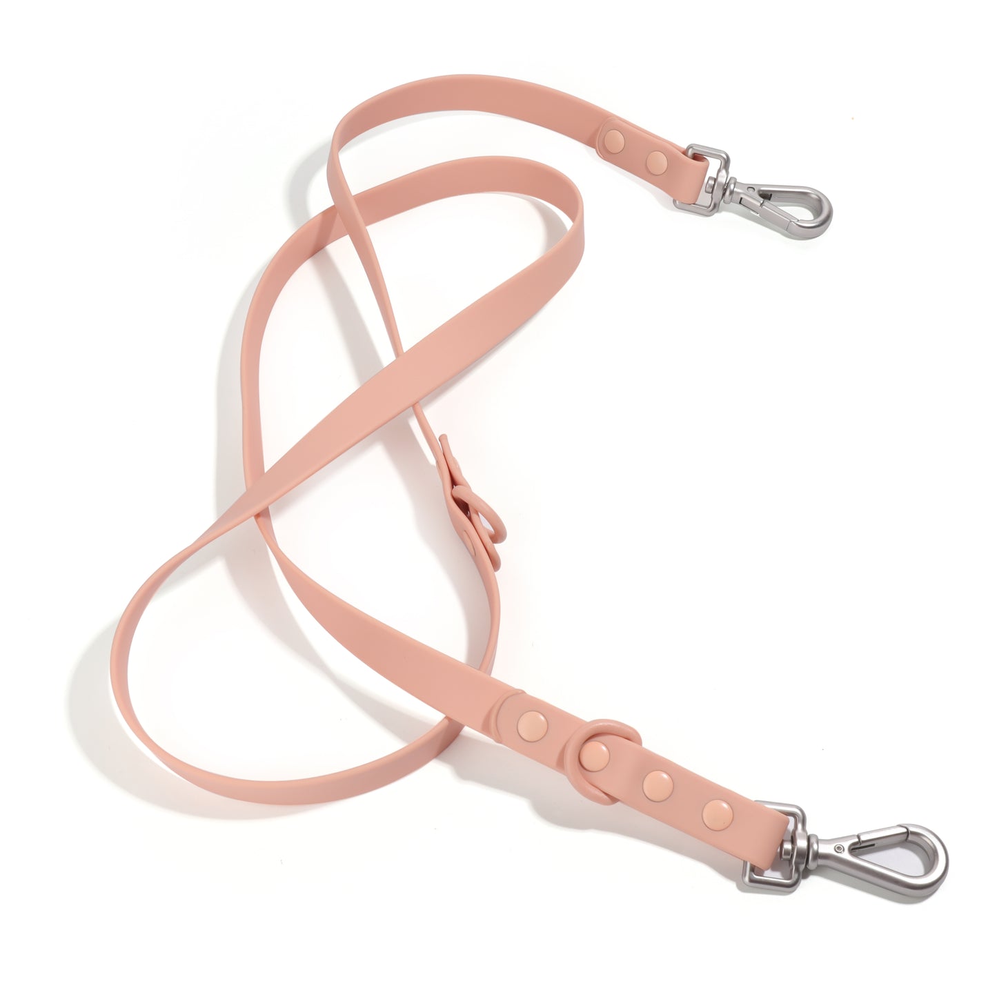 Dog Leash